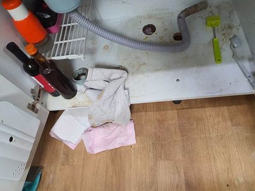 수지구 하수구막힘 배수구 물 고임과 악취 여부를 확인하는 점검 장면